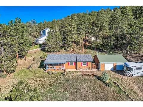 27 Spruce Trl, Bailey, CO 80421 photo 31