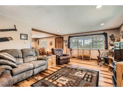 27 Spruce Trl, Bailey, CO 80421 photo 6