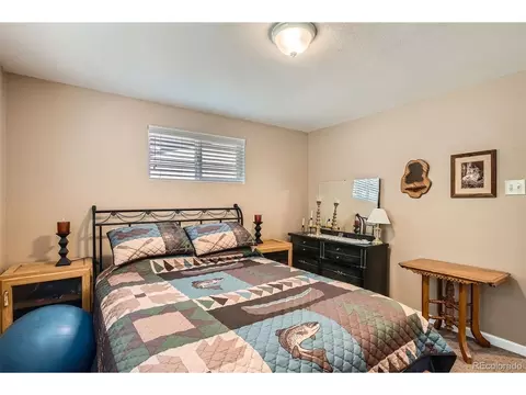 27 Spruce Trl, Bailey, CO 80421 photo 17