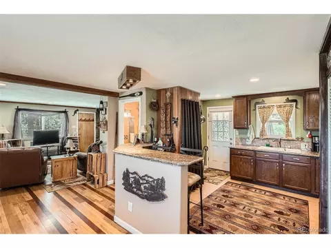 27 Spruce Trl, Bailey, CO 80421 photo 8