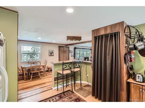 27 Spruce Trl, Bailey, CO 80421 photo 11