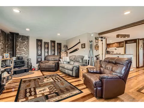 27 Spruce Trl, Bailey, CO 80421 photo 5