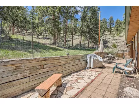 27 Spruce Trl, Bailey, CO 80421 photo 24