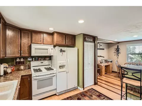 27 Spruce Trl, Bailey, CO 80421 photo 10