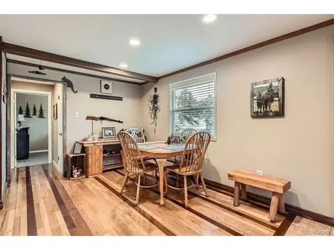 27 Spruce Trl, Bailey, CO 80421 photo 13