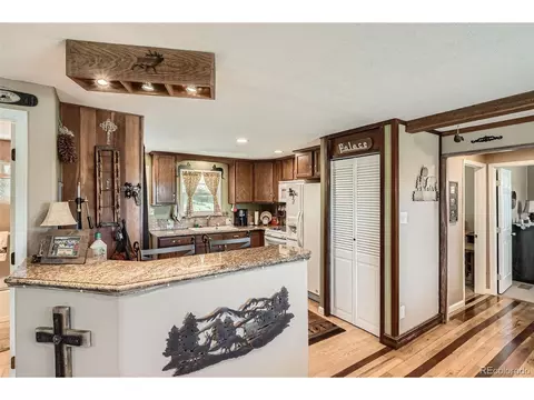 27 Spruce Trl, Bailey, CO 80421 photo 9