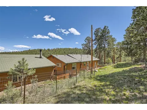 27 Spruce Trl, Bailey, CO 80421 photo 26