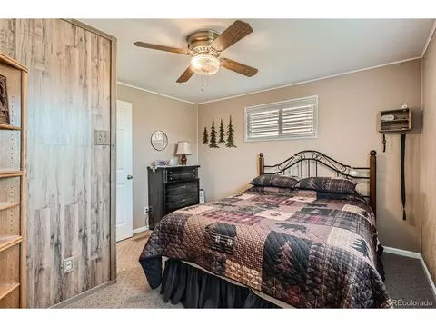27 Spruce Trl, Bailey, CO 80421 photo 21