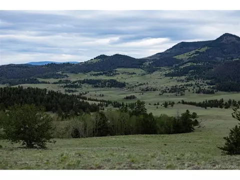 Co-9, Guffey, CO 80820 photo 18