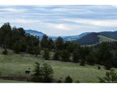 Co-9, Guffey, CO 80820 photo 17