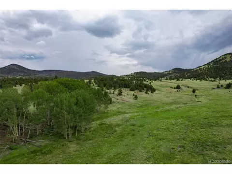 Co-9, Guffey, CO 80820 photo 13