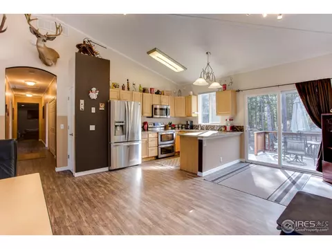 118 Gap Rd, Black Hawk, CO 80422 photo 7