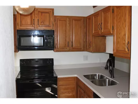 919 Conifer Ct #7, Windsor, CO 80550 photo 7
