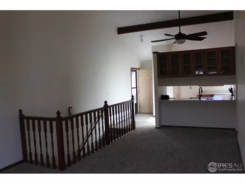 919 Conifer Ct #7, Windsor, CO 80550 photo 5