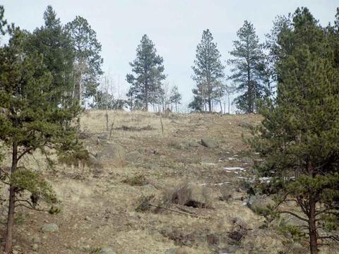 11440 E 162nd Dr, Brighton, CO 80602 photo 4