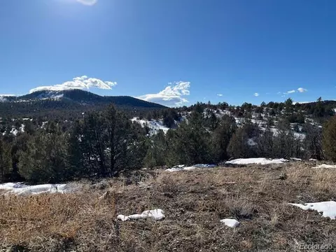 3500 Indian Wells Rd, Texas Creek, CO 81223