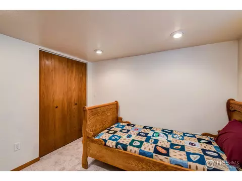 318 E Michigan Ave, Berthoud, CO 80513 photo 31