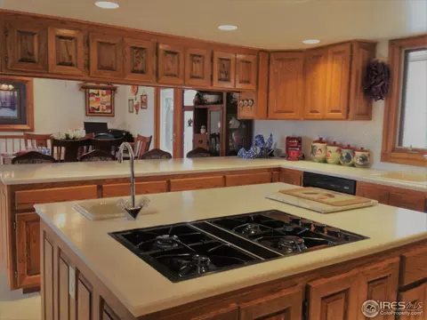 473 Grant Ave, Firestone, CO 80520 photo 4
