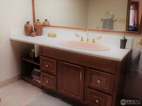 473 Grant Ave, Firestone, CO 80520 photo 33