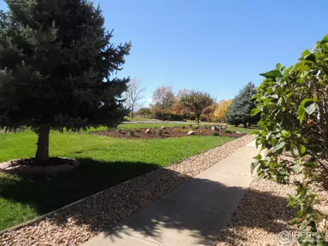 473 Grant Ave, Firestone, CO 80520 photo 3