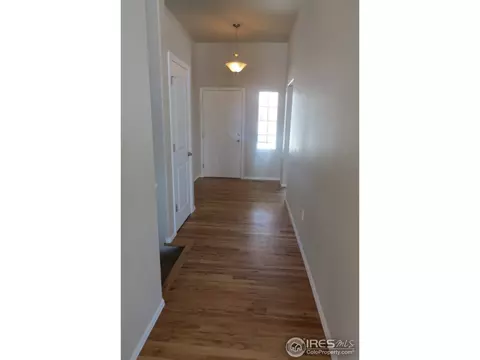2053 Grain Bin Dr, Windsor, CO 80550 photo 3