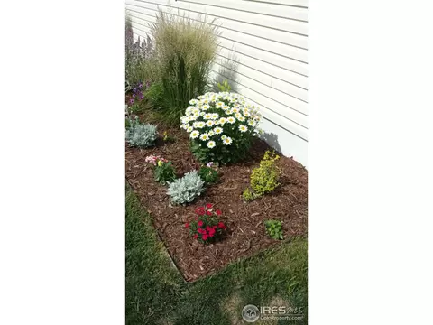 3370 Bluegrass Cir #48, Evans, CO 80620 photo 6