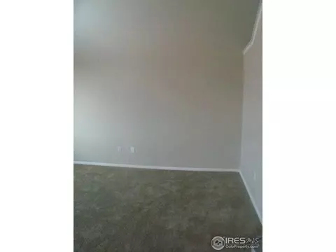 749 Corn Stalk Ct, Windsor, CO 80550 photo 19