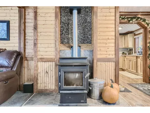 34502 Chilton Ave, Pine, CO 80470 photo 2