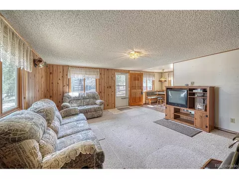 2995 County Road 47, Howard, CO 81233 photo 9