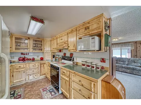 2995 County Road 47, Howard, CO 81233 photo 12