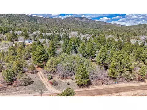2995 County Road 47, Howard, CO 81233 photo 36