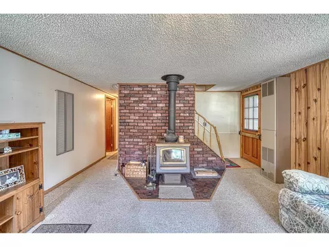 2995 County Road 47, Howard, CO 81233 photo 7