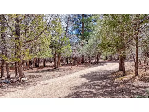 2995 County Road 47, Howard, CO 81233 photo 29