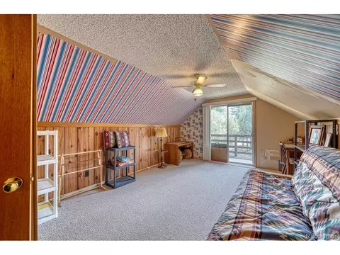 2995 County Road 47, Howard, CO 81233 photo 21