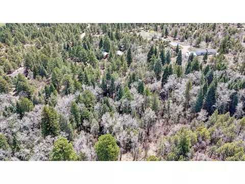 2995 County Road 47, Howard, CO 81233 photo 41