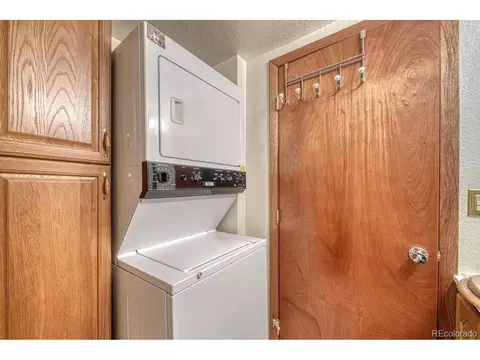 2995 County Road 47, Howard, CO 81233 photo 16
