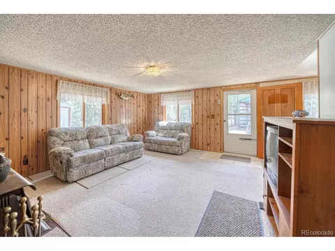 2995 County Road 47, Howard, CO 81233 photo 8