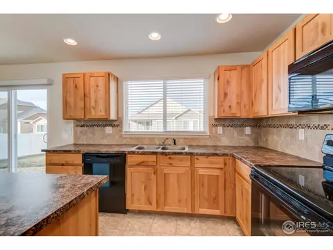 488 Havenbrook Dr, Windsor, CO 80550 photo 10
