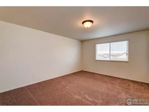 488 Havenbrook Dr, Windsor, CO 80550 photo 22