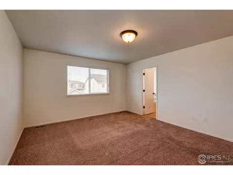 488 Havenbrook Dr, Windsor, CO 80550 photo 23
