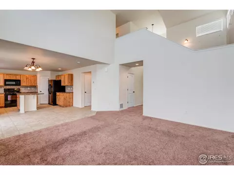 488 Havenbrook Dr, Windsor, CO 80550 photo 14