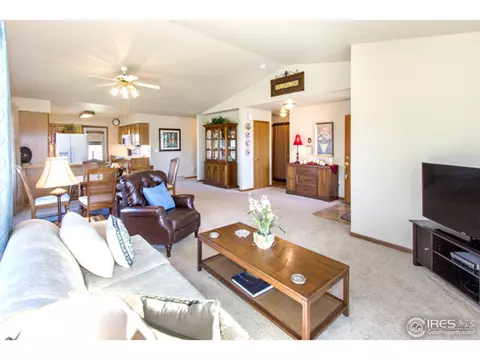 1270 Honeysuckle Ct, Windsor, CO 80550 photo 7