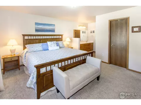 1270 Honeysuckle Ct, Windsor, CO 80550 photo 18