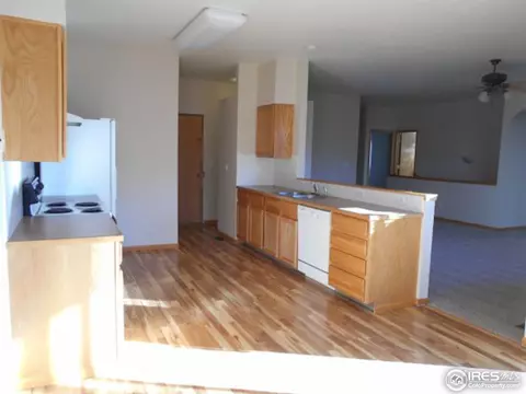 372 Buffalo Dr, Windsor, CO 80550 photo 12