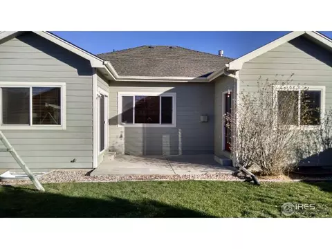 372 Buffalo Dr, Windsor, CO 80550 photo 25