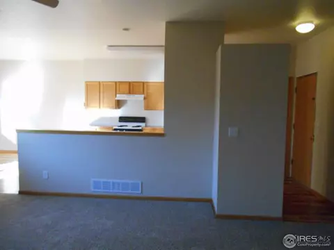 372 Buffalo Dr, Windsor, CO 80550 photo 7