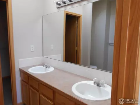 372 Buffalo Dr, Windsor, CO 80550 photo 16