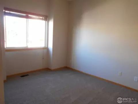 372 Buffalo Dr, Windsor, CO 80550 photo 18