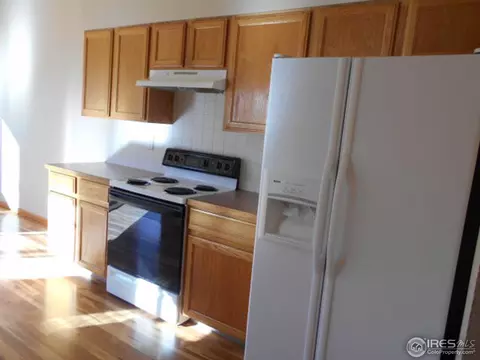 372 Buffalo Dr, Windsor, CO 80550 photo 11