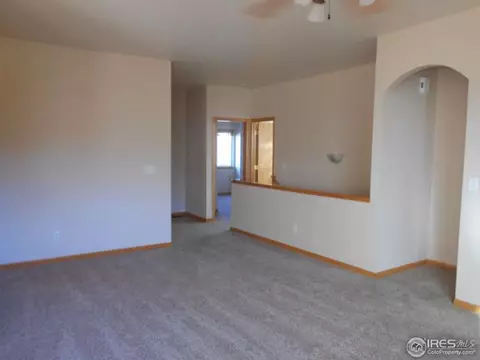 372 Buffalo Dr, Windsor, CO 80550 photo 5